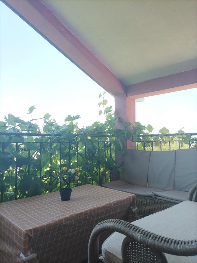 Apartman Balsa Kotor Zewnętrze zdjęcie